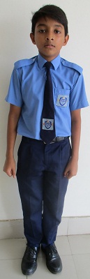 Vice-Chairman